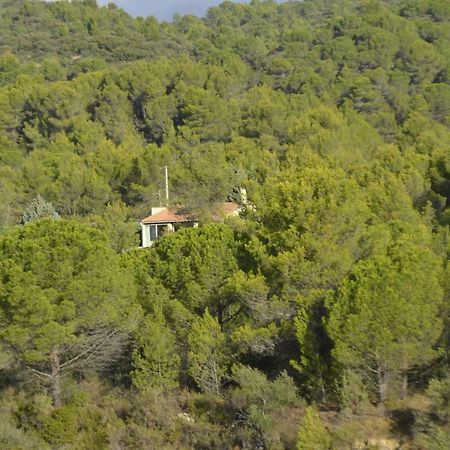 La Petite Cigale Villa Cesseras Bagian luar foto