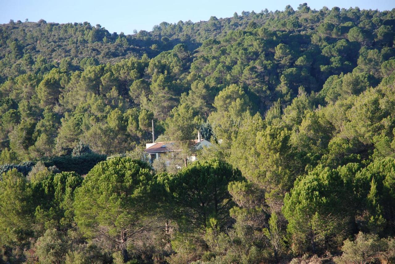 La Petite Cigale Villa Cesseras Bagian luar foto
