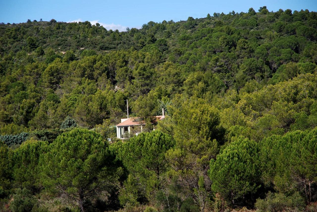 La Petite Cigale Villa Cesseras Bagian luar foto