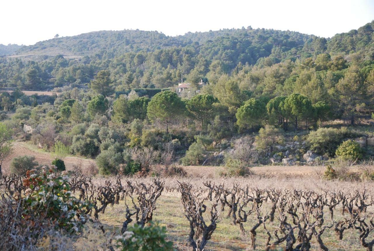 La Petite Cigale Villa Cesseras Bagian luar foto