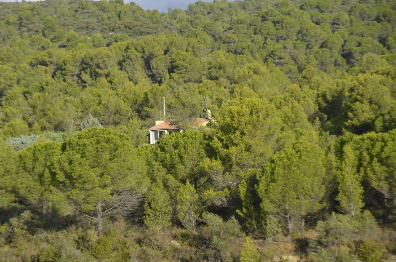 La Petite Cigale Villa Cesseras Bagian luar foto